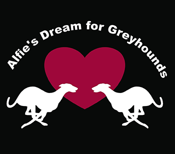 Alfies Dream for Greyhounds